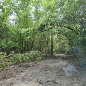 Photo #4 of 6 Acres Woodberry, North Augusta, SC