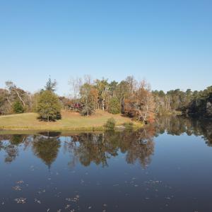 DJI_0250
