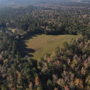 DJI_0220