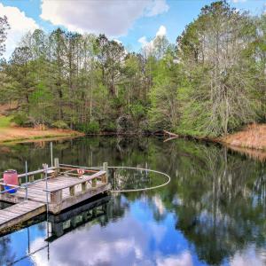 Pond Dock