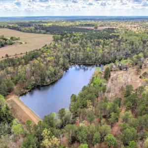 Main Pond Aerial