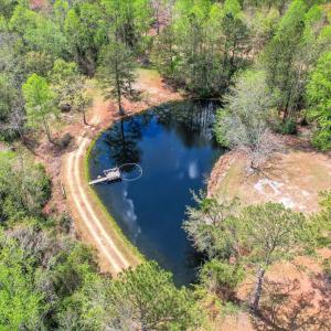 Pond Aerial