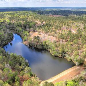 Main Pond Aerial 2