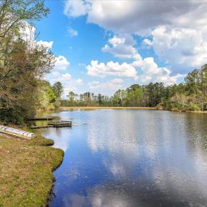Pond View