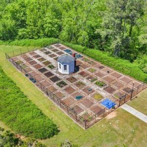 garden plot