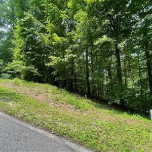 Photo #12 of Lot 1682 Point, Westminster, SC 0.3 acres