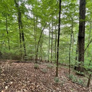 Photo #8 of Lot 1682 Point, Westminster, SC 0.3 acres