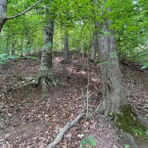 Photo #9 of Lot 1682 Point, Westminster, SC 0.3 acres