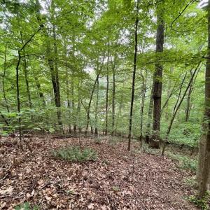 Photo #7 of Lot 1682 Point, Westminster, SC 0.3 acres