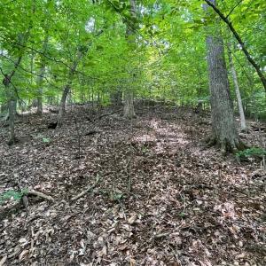 Photo #11 of Lot 1682 Point, Westminster, SC 0.3 acres