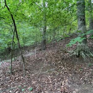 Photo #10 of Lot 1682 Point, Westminster, SC 0.3 acres