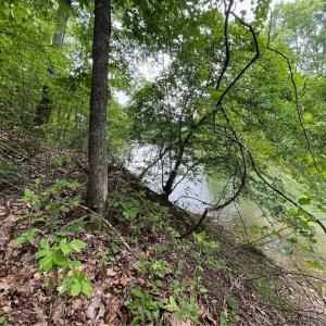 Photo #2 of Lot 1682 Point, Westminster, SC 0.3 acres