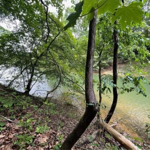 Photo #1 of Lot 1682 Point, Westminster, SC 0.3 acres