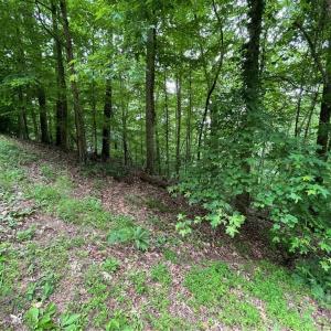 Photo #6 of Lot 1682 Point, Westminster, SC 0.3 acres