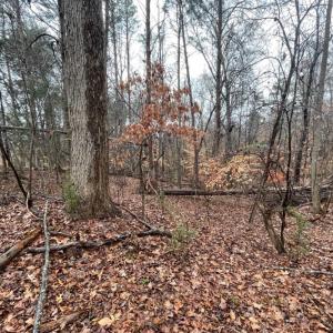 Photo #1 of Lot 851 Nicklaus, Westminster, SC 0.3 acres