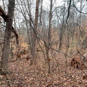 Photo #3 of Lot 851 Nicklaus, Westminster, SC 0.3 acres