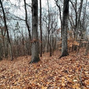 Photo #3 of Lot 2134 Arrowhead, Westminster, SC 0.3 acres