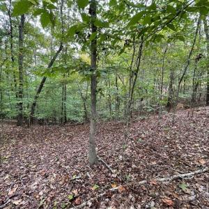 Photo #3 of Lot 296 Oconee, Westminster, SC 0.5 acres