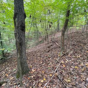 Photo #4 of Lot 296 Oconee, Westminster, SC 0.5 acres