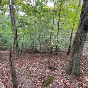 Photo #1 of Lot 296 Oconee, Westminster, SC 0.5 acres