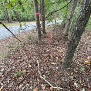 Photo #6 of Lot 296 Oconee, Westminster, SC 0.5 acres