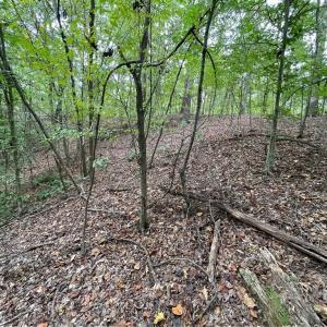 Photo #5 of Lot 296 Oconee, Westminster, SC 0.5 acres