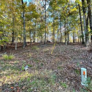 Photo #1 of Lot 87 Foxglove, Westminster, SC 0.3 acres