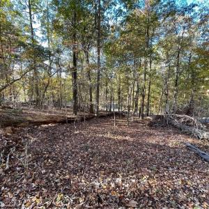 Photo #4 of Lot 87 Foxglove, Westminster, SC 0.3 acres