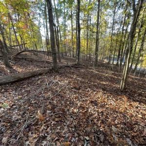 Photo #3 of Lot 87 Foxglove, Westminster, SC 0.3 acres