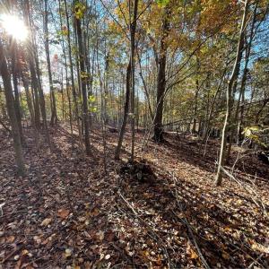 Photo #5 of Lot 87 Foxglove, Westminster, SC 0.3 acres