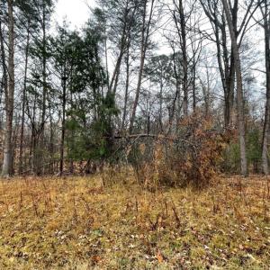 Photo #3 of Lot 851 Nicklaus, Westminster, SC 0.3 acres