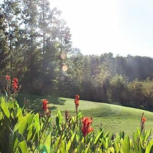 Photo #12 of Lot 2134 Arrowhead, Westminster, SC 0.3 acres