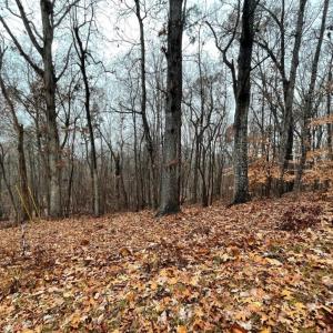 Photo #3 of Lot 2134 Arrowhead, Westminster, SC 0.3 acres