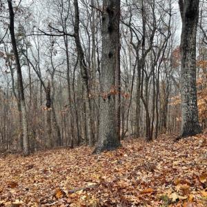Photo #2 of Lot 2134 Arrowhead, Westminster, SC 0.3 acres