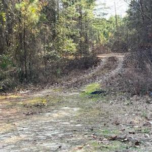 View down easement