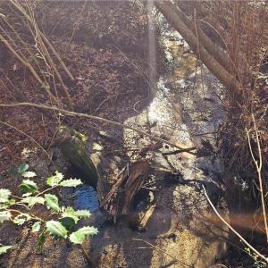Creek