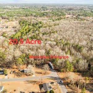 Sandpiper and Mercedes