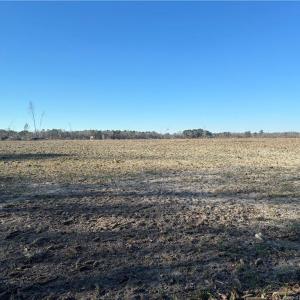 Near 4001 Near Union Valley 23 Acres