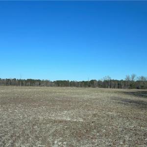 Near 4001 Near Union Valley 23 Acres