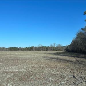 Near 4001 Near Union Valley 23 Acres