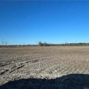 Near 4001 Near Union Valley 23 Acres