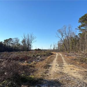 Photo 47