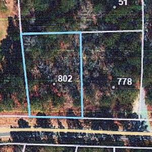 802 PONDEROSA TRAIL