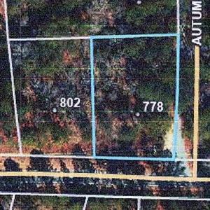 778 PONDEROSA TRAIL