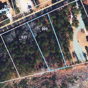 899 PONDEROSA TRAIL