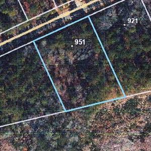 951 PONDEROSA TRAIL
