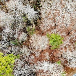 Aerial Above View