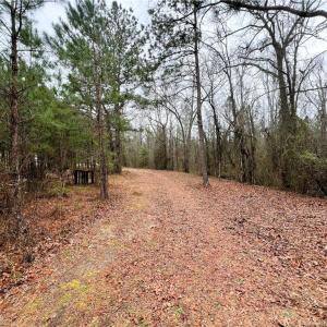 Old Trails / Path