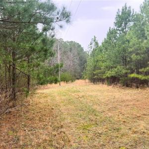 Int View - Power Pole