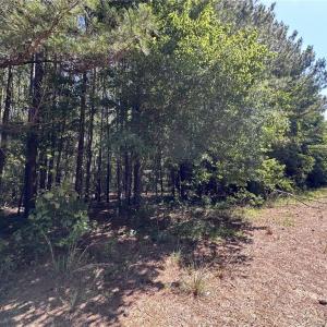 BACK PORTION OF LAND